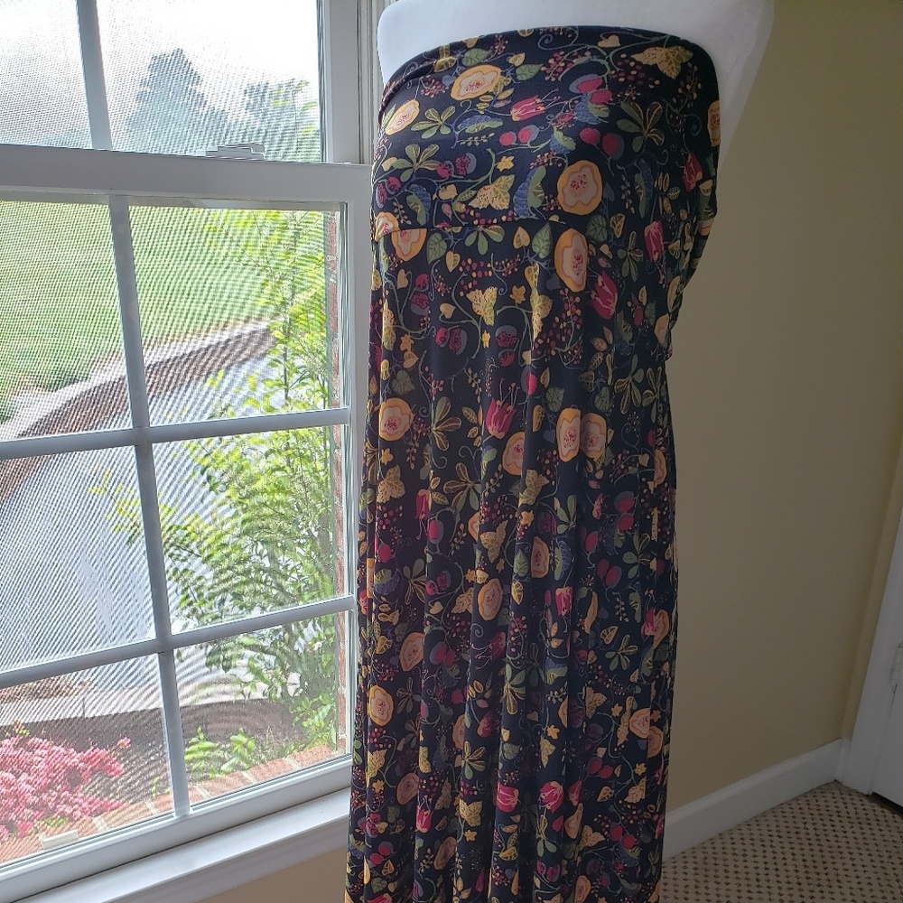 Maxi dress/skirt